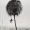 Rurality Re-Imagined: Villagers, Farmers, Wanderers and Wild Things