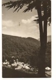 CPIB 22432 - CARTE POSTALA - MANASTIREA SUZANA, NECIRCULATA