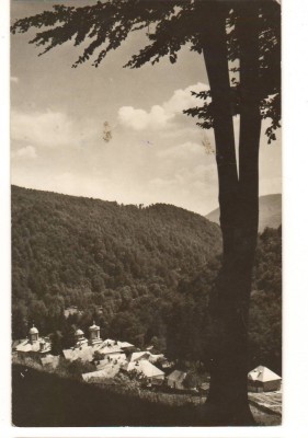 CPIB 22432 - CARTE POSTALA - MANASTIREA SUZANA, NECIRCULATA foto