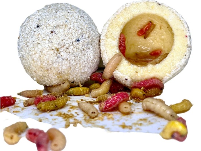 Boilies cu Miez Lichid LK BAITS Nutrigo, Viermi, 20-25mm, 250ml, 12buc/pac