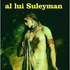 Ultimul vis al lui Suleyman - Alain Paris