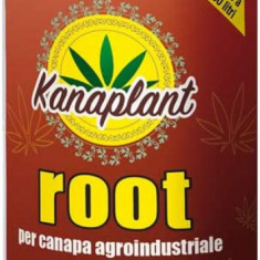 Ingrasamant Kanaplant Root Faza 1 Flortis 500g