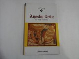 SA NU-TI FACI RAU - ANSELM GRUN