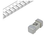 Siguranță &Icirc;nt&acirc;rziere 4A 125VAC 125VDC SMD
