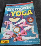 Godfrey Devereux - Elemente de Yoga