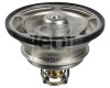 FEBI BILSTEIN 39860 termostat,lichid racire
