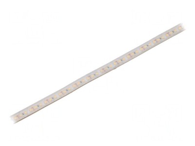 Bandă LED alb cald 12V IP65 foto