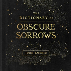 The Dictionary of Obscure Sorrows