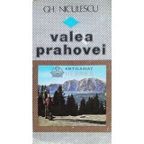 Valea Prahovei - GH. Niculescu (T123)
