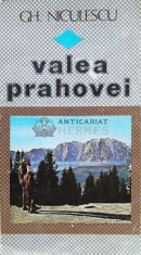Valea Prahovei - GH. Niculescu (T123)