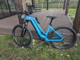 Biciclete electrice FLYER
