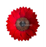 Floarea Soarelui Criogenata SUNFLOWER RED-02 &Oslash;10,5cm, 1 buc/cutie