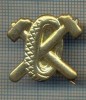 Y 1759 INSIGNA - MILITARA -SEMN DE ARMA - AUTO -PENTRU COLECTIONARI