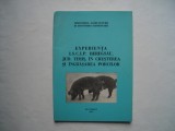 Experienta I.S.C.I.P. Beregsau, jud. Timis in cresterea si ingrasarea porcilor, 1978, Alta editura