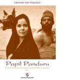 Cumpara ieftin Papil Panduru. O viata artistica in cronici, comentarii si imagini/Cristian Luis Vasilescu
