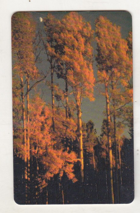 bnk card Cartela telefonica - P-38b 2000 50000 lei Toamna