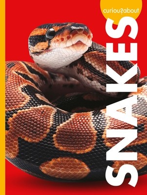 Curious about Snakes foto