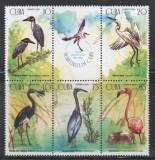 CUBA 2020 FAUNA PASARI ACVATICE