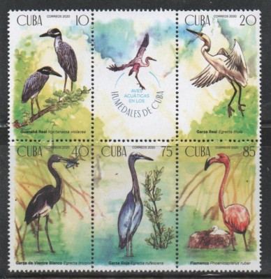 CUBA 2020 FAUNA PASARI ACVATICE foto
