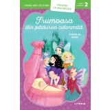 Frumoasa din padurea adormita, Prima mea lectura, Poveste cu majuscule