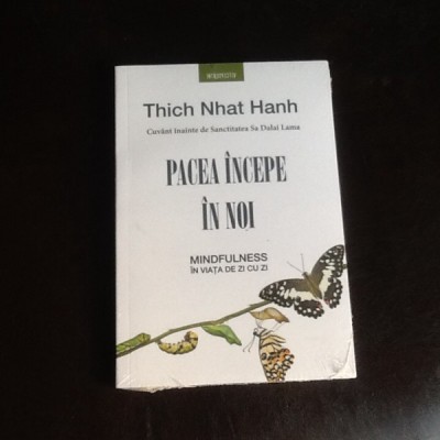 Pacea incepe in noi - Thich Nhat Hanh foto