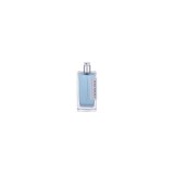 Gianfranco Ferre Fougere Italiano Tester Barbati EDT 100 ml