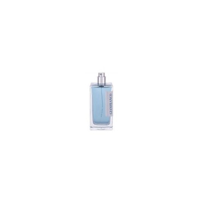 Gianfranco Ferre Fougere Italiano Tester Barbati EDT 100 ml foto