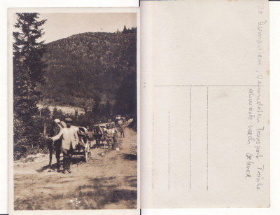 Gelence, Ghelinta (Covasna ) -WWI,WK1-militara,rara foto