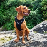 Ham pentru c&acirc;ini Mountain Paws Dog Harness L black