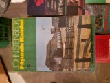 Pășunile Raiului vintage