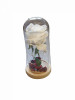 Aranjament floral trandafir in cupola de sticla, lumina Led, Alb