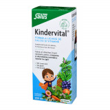 Formula lichida de calciu si vitamine Kindervital&reg;, 250 ml, Salus