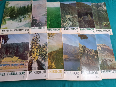 LOT 12 REVISTA PĂDURILOR / NR.1-12 *1973 * AN COMPLET * foto