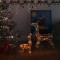 vidaXL Decorațiune de Crăciun familie reni 160 LED-uri colorat acril 329792