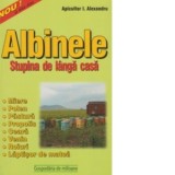 Albinele - stupina de langa casa -