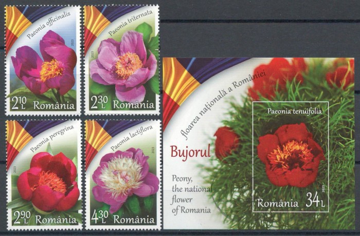 Romania 2023 LP 2418 + 2418a Bujorul, floarea nationala