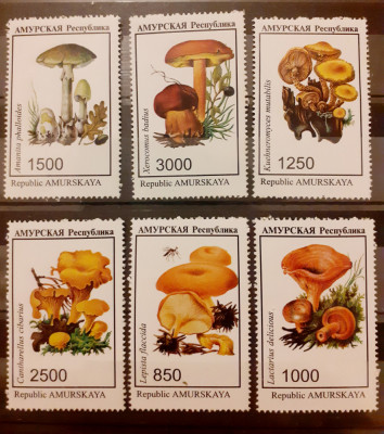 Amurskaya ciuperci serie 6v. nestampilata, Mnh foto