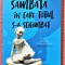 Sambata in care totul s-a schimbat. Editura Litera, 2021 &ndash; Sophie van Llewyn