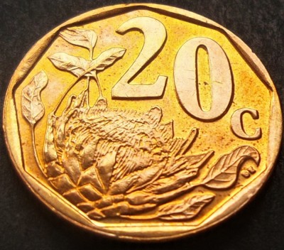 Moneda exotica 20 CENTI - AFRICA de SUD, anul 2004 *cod 1822 = AFRIKA BORWA UNC foto