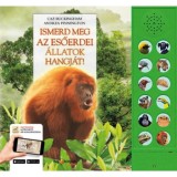 Ismerd meg az esőerdei &aacute;llatok hangj&aacute;t! - Kik rejtőznek a dzsungel m&eacute;ly&eacute;n? - Andrea Pinnington