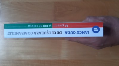 Iancu Guda - De ce esueaza companiile ? 10 greseli si 100 de solutii ( 2017 ) foto