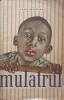 Mulatrul - Enzo Maizza, 1963, Editura Tineretului, Roman, Beletristica, Coperta Necartonata