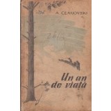 Un An de Viata, Volumul I