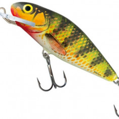 Vobler Salmo Perch Deep Runner PH8DR, culoare HOP, 8cm, 14g