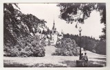 Bnk cp Sinaia - Muzeul Peles - necirculata, Printata