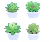 Cumpara ieftin Plante suculente artificiale cu ghiveci, 4 bucati Mini plante