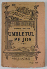 UMBLETUL PE JOS de NESTOR URECHIA , 1916 foto