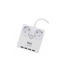 Prelungitor 2 prize 3m 4x USB cu protectie 3xg1.5mmp Well foto