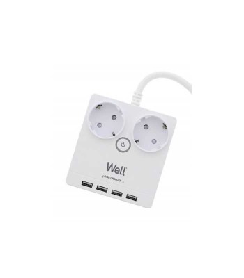 Prelungitor 2 prize 3m 4x USB cu protectie 3xg1.5mmp Well foto