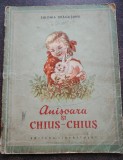 ANISOARA SI CHIUS - CHIUS de SIDONIA DRAGUSANU , ilustratii de RAISA IUSEIN , 1955